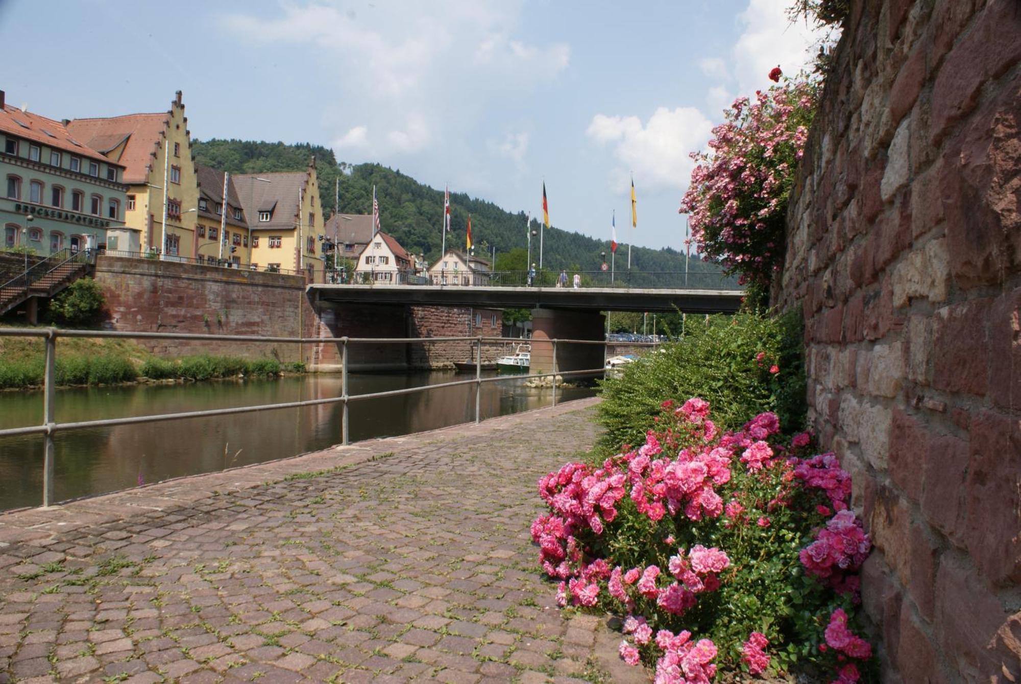 Tauberhotel Kette Wertheim Bagian luar foto
